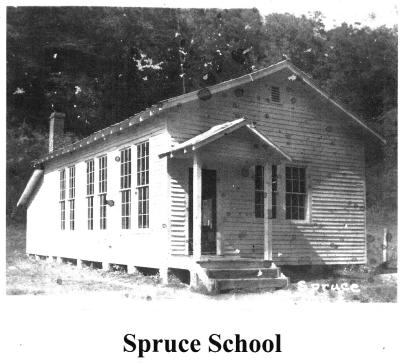 Spruce