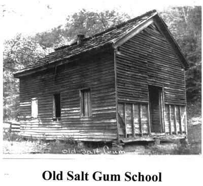 Salt-Gum-Old